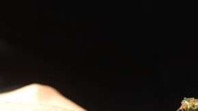 En general, los inmigrantes hispanos tienen mejor salud que los estadounidenses.