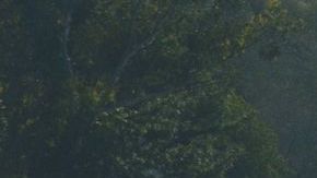 Se necesitaron 5 años, dos 'carmaggedones' y muchos dolores de cabeza para los choferes para acabar este proyecto.