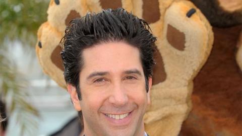 Schwimmer dio a la policía las imágenes sobre la pelea que grabó su cámara de seguridad.
