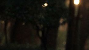 Las autoridades llamaron a tomar medidas preventivas.