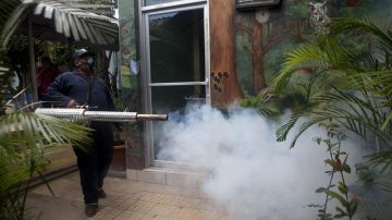 Los países afectados por el dengue han toomado medidas para frenar los contagios.
