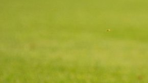 Marco Fabián se queja de un fuerte golpe