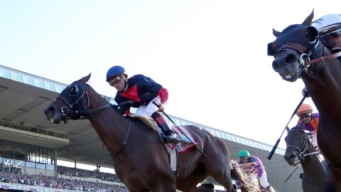 Tonalist y el jinete dominicano Joel Rosario (centro) cruzan la meta para ganar la 146ava edición del Belmont Stakes.