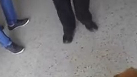 Iván Cortés Gómez fue agredido al intentar entrar a un hospital en Veracruz con su perro guía.