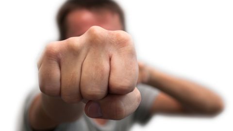 Las peleas por los alimentos y las hembras hicieron evolucionar el rostro de los varones.