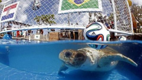 IM_20140612_DEPORTES_140619764