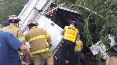 Algunos de los animales fueron sometidos a eutanasia debido a la gravedad de las heridas.
