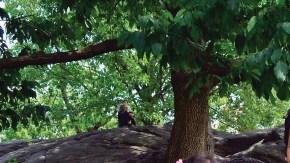 George Constantinou y Farid Lancheros disfrutan a plenitud con sus mellizos Milena y Gustavo.