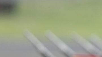 La ceremonia se realizará el próximo 19 de junio.