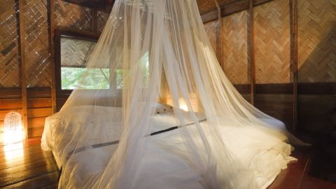 Es necesario protegerse de la picadura de mosquitos.