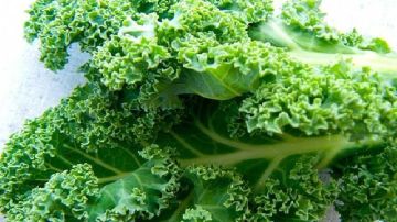 El kale es una excelente fuente de vitaminas y proteínas.