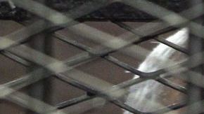 El líder de los Hermanos Musulmanes, Mohamed Badie, quien está entre los condenados a muerte, hace la señal de los cuatro dedos, durante un juicio en El Cairo, Egipto.