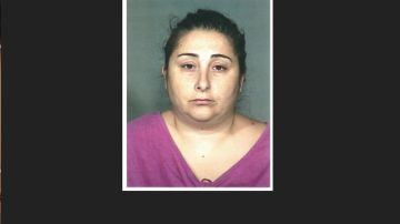 Sonia Vertucci, de 42 años, está acusada de cometer los crímenes entre el 2012 y el 2013.