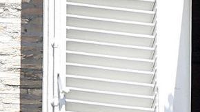 El Sumo Pntífice desde la ventana del Apartamento Pontificio.