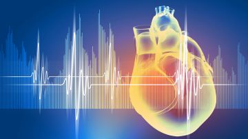 Conocer a ciencia cierta el funcionamiento del corazón permitirá mejorar el tratamiento de sus enfermedades.