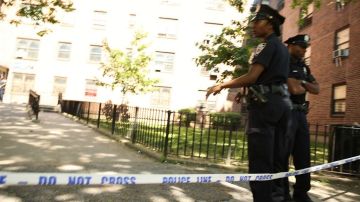Precisamente NYPD anunció el fin de semana que casi 300 de los 400 oficiales reasignados a tareas de patrullaje estarán en Brooklyn y El Bronx.