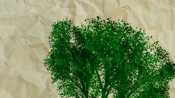 Disminuir al máximo tu consumo de papel es una manera de evitar la tala de árboles.