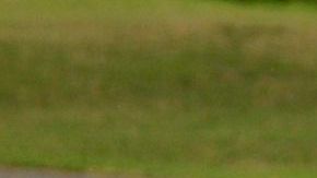 El mandatario paso cinco horas jugando golf el pasado sábado.