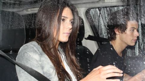 Desde que rompieron, Harry y Kendall solo se han visto en muy contadas ocasiones.