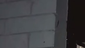 Chrissie Ortiz fue detenida cuando discutía con otra mujer sobre su esposo, Ramsey Orta.