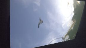 Instalación del artista Coco Fusco, una reflexión sobre los balseros.