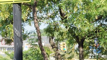 Pequeños negociantes hispanos han encontrado espacio en Belmont.