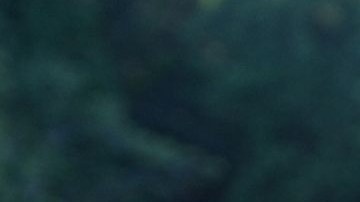 Robin Williams se suicidó el pasado domingo en su casa del condado de Tiburón, California.