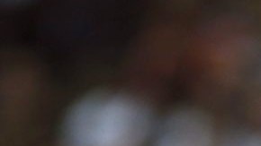 Derrick Rose regresó a las duelas en "casa".