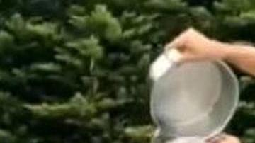 La cantante no dudó en unirse al reto a pesar de su supuesto embarazo.