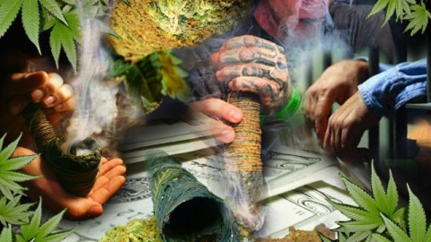 It is estimated that between 125 and 200 million people worldwide use cannabis.