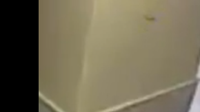 Los hechos ocurrieron el pasado 21 de agosto.