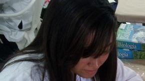 Las limas (limones verdes) y el clavo de olor han demostrado ser en un eficaz aliado para mantener alejados a los mosquitos que transmiten la chikunguña y el dengue, descubrieron alumnos de una escuela de la localidad puertorriqueña de Arecibo.