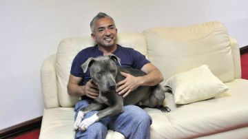 César Millán es mundialmente conocido como "el encantador de perros".