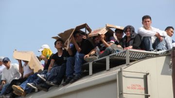 Migrantes en  el tren "La Bestia".