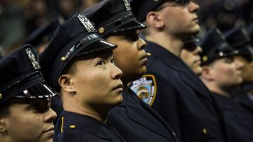 Los hispanos componen un 26% del NYPD, y son la segunda mayoría después de los blancos, mientras los asiáticos son la minoría.
