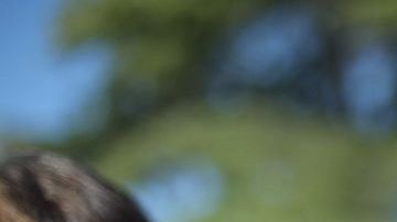 La búsqueda del avión se reanudará en dos semanas.