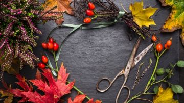 Busca elementos de otoño para decorar tu hogar que salgan de lo habitual.