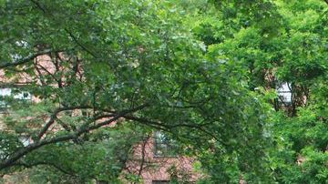 Los demandantes denuncian que llevan años viviendo en condiciones deplorables.