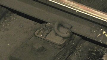 La auditoría dice que la ciudad está perdiendo la batalla contra las ratas