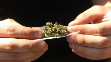 Washington y Colorado ya aprobaron la marihuana recreativa.