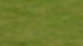 Madison Bumgarner corresponde a una monumental ovacion luego de su magistral faena.