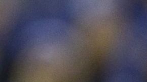 Una verdadera institución.