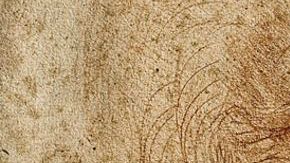 La leyenda dice que si uno estudia cerca de la genialidad de Leonardo da Vinci se contagia.