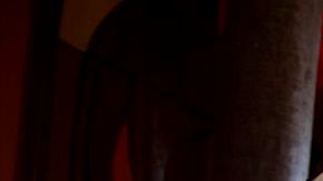 Juan Luis Guerra regresa por todo lo alto.