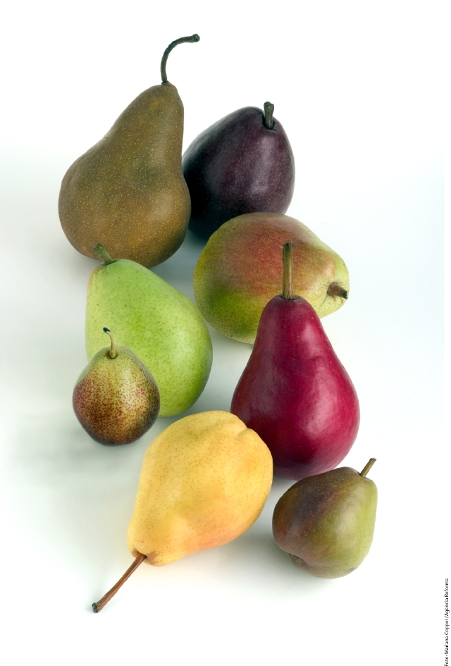 Am fruit. Сорт груши манго. Американские фрукты. Фрукты в США. Груша американская.