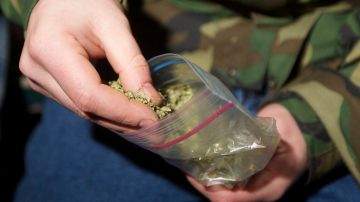 Si alguien es detenido cargando 25 gramos de marihuana o menos, solamente recibirá una multa.