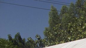 El gobierno cubano anunció desde la partida de los médicos a Africa que si alguno se contagiaba no iba a regresar a la isla.