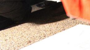 La sociedad exige la presentación con vida de los 43 estudiantes.