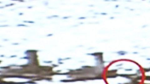 IM_20141127_BBC_141129442