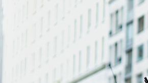 Unos 300 trabajadores se verán afectados con la prohibición de los carruajes.